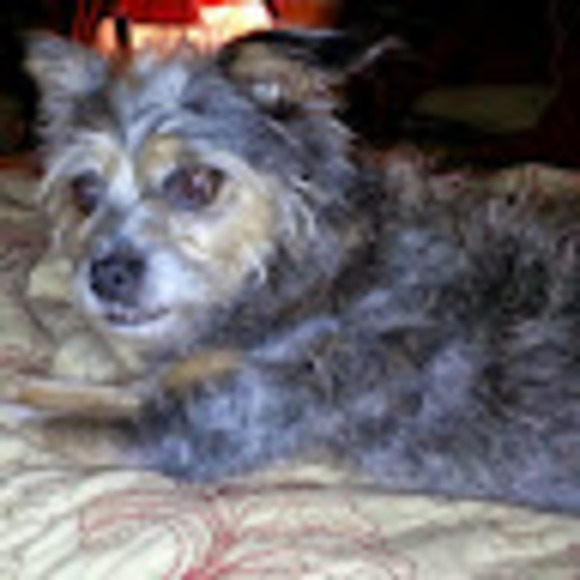 Meet your Posher, Charlotte - Picture 1 of 1